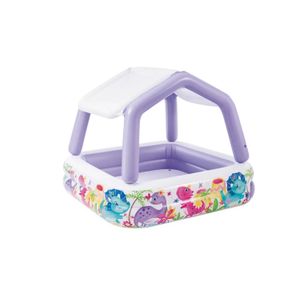 Intex Sun Shade Pool